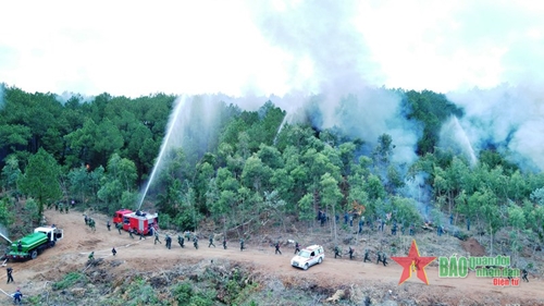 Hà Tĩnh: Diễn tập phòng cháy, chữa cháy rừng năm 2022
